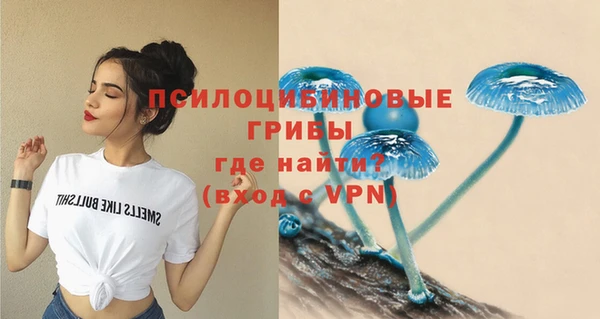дмт Вязьма