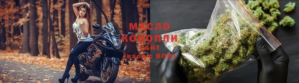 индика Вязники