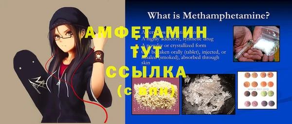 индика Вязники