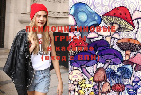 соль курить ск Вяземский