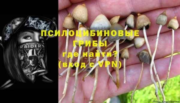 дмт Вязьма