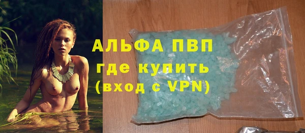 индика Вязники