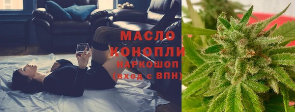 индика Вязники