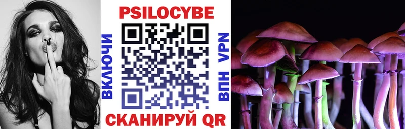 Галлюциногенные грибы Psilocybine cubensis  Купить где  Цоци-Юрт 